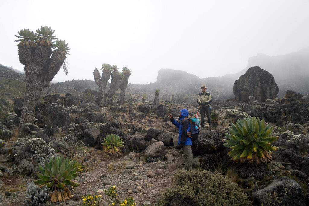 Best time to visit Climbing Kilimanjaro