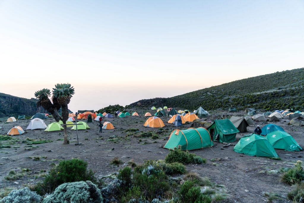 Climbing Kilimanjaro