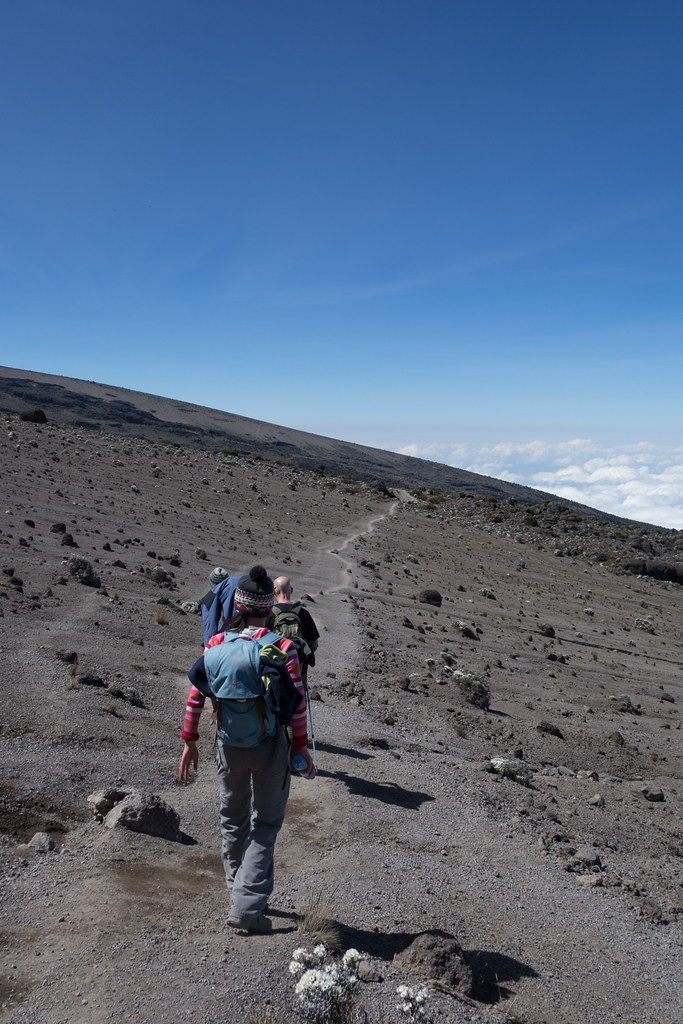 8995492950 5b178cd0ed B