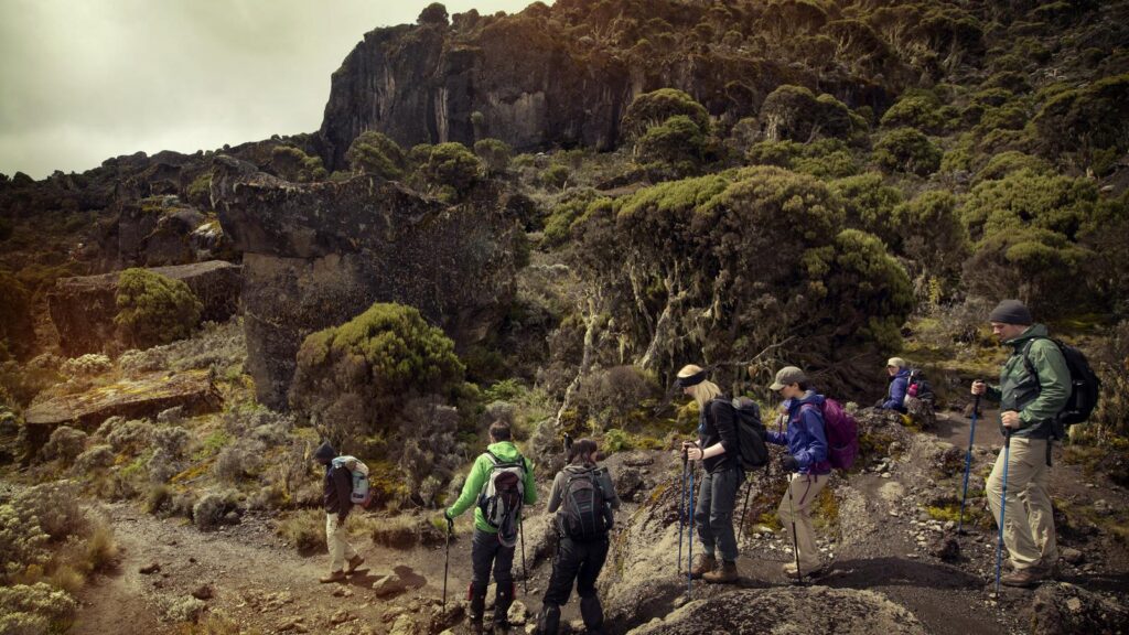 Machame Route
