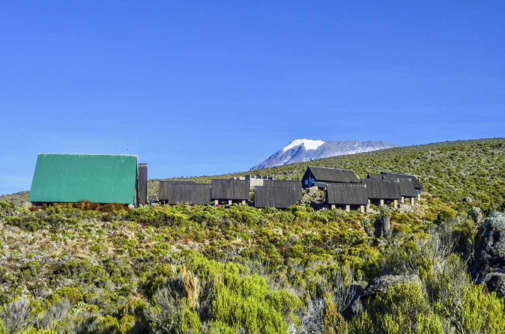 huts at mount kilimanjaro, the highest mountain in africa