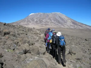 Why the Machame Route is Called the “Whiskey Route” rongai route