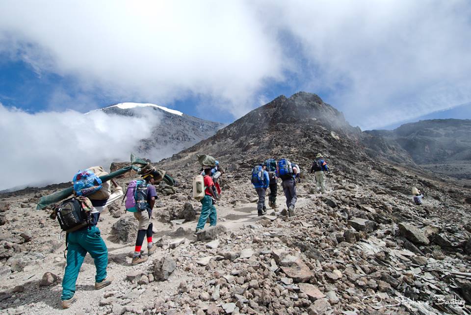 trek the rongai route on kilimanjaro