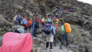 Why the Machame Route is Called the “Whiskey Route” Umbwe route