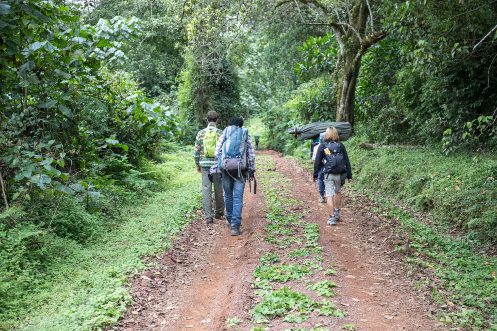 7 days Lemosho Route,